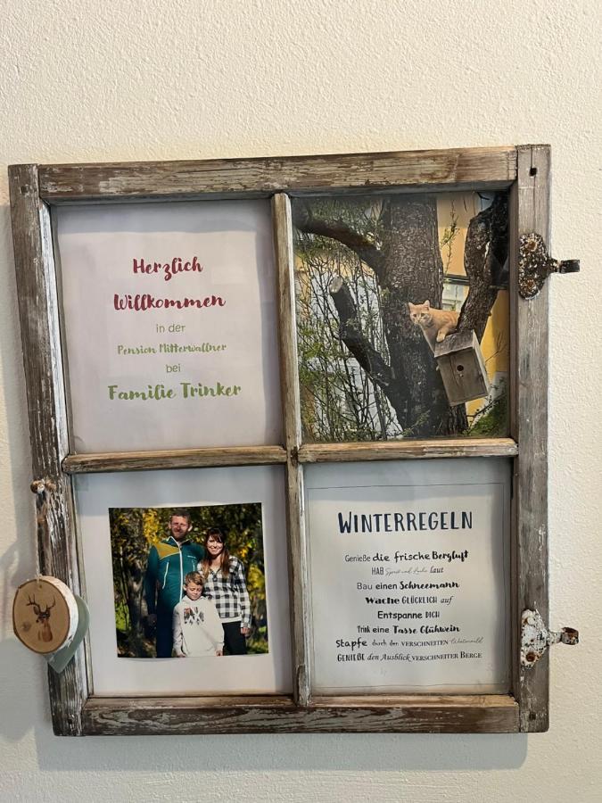 Pension Mitterwallner Schladming Ngoại thất bức ảnh